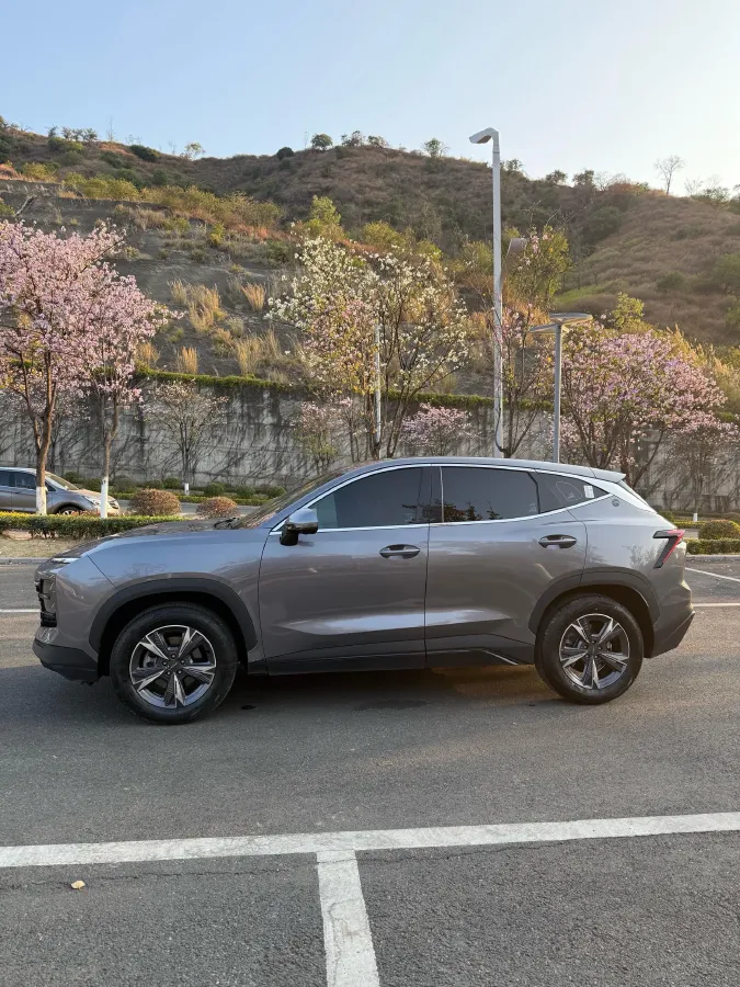 2024 Jetour DASHING 1.5T 156HP L4 6DCT,autocango,china used car exporter,china ev exporter,chinese used car exporter,chinese used ev exporter