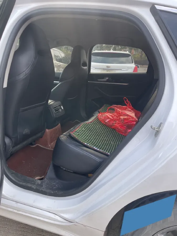 2021 DongFeng FuKang e Elysee BEV 38.4KWH,autocango,china used car exporter,china ev exporter,chinese used car exporter,chinese used ev exporter