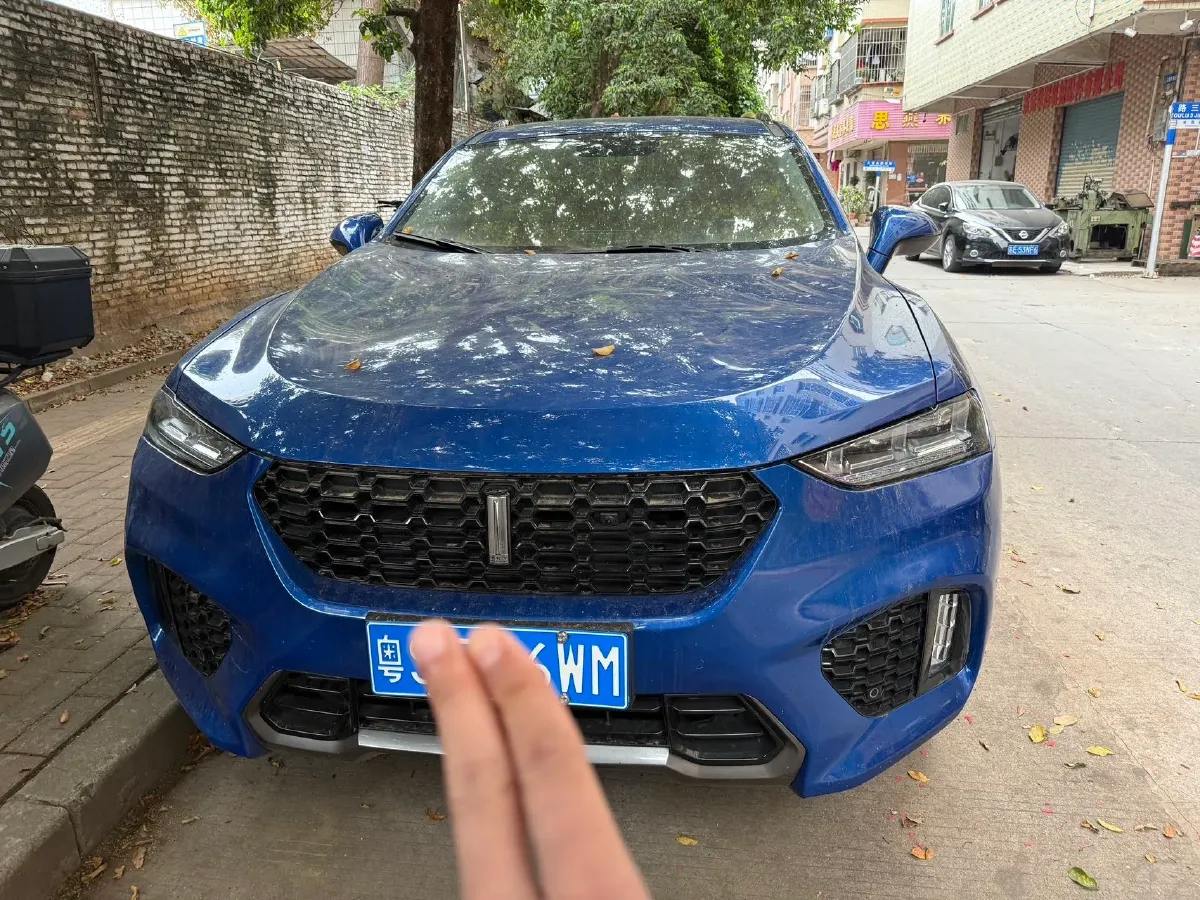 2017 WEY VV7 2.0T 234HP L4 7DCT,autocango,china used car exporter,china ev exporter,chinese used car exporter,chinese used ev exporter