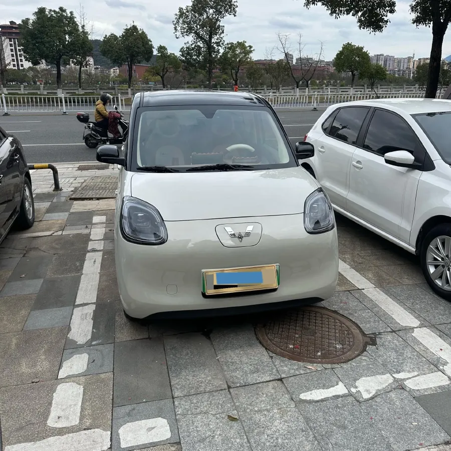 2025 WuLing HongGuang MINI EV BEV 16.2KWH,autocango,china used car exporter,china ev exporter,chinese used car exporter,chinese used ev exporter