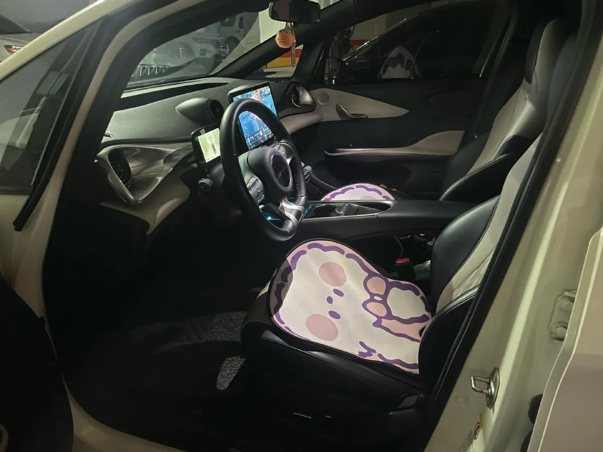 2021 BYD Yuan Pro BEV 50.1KWH,autocango,china used car exporter,china ev exporter,chinese used car exporter,chinese used ev exporter