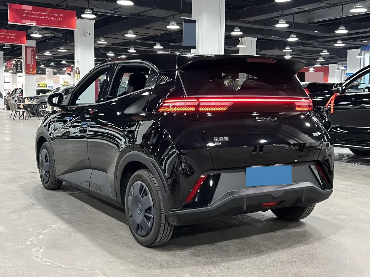 2024 BYD Seagull BEV 30.08KWH,autocango,china used car exporter,china ev exporter,chinese used car exporter,chinese used ev exporter