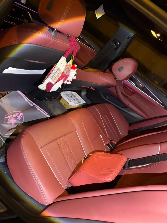 2021 BMW 5 Series 2.0T 184HP L4 8AT,autocango,china used car exporter,china ev exporter,chinese used car exporter,chinese used ev exporter