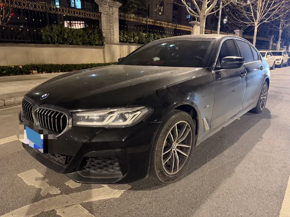 2021 BMW 5 Series 2.0T 184HP L4 8AT,autocango,china used car exporter,china ev exporter,chinese used car exporter,chinese used ev exporter