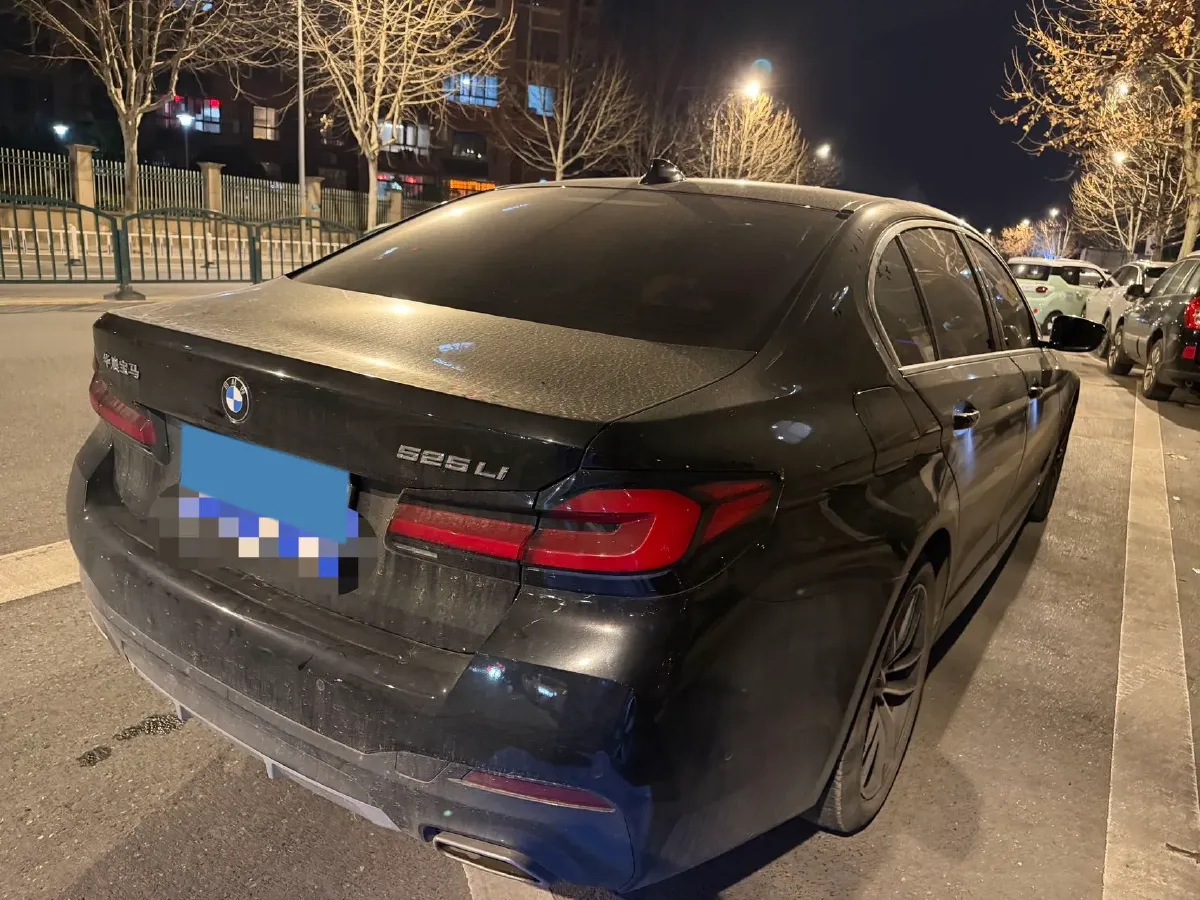 2021 BMW 5 Series 2.0T 184HP L4 8AT,autocango,china used car exporter,china ev exporter,chinese used car exporter,chinese used ev exporter