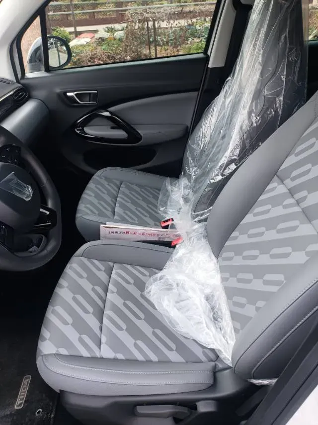 2025 Leapmotor T03 BEV 31.9KWH,autocango,china used car exporter,china ev exporter,chinese used car exporter,chinese used ev exporter