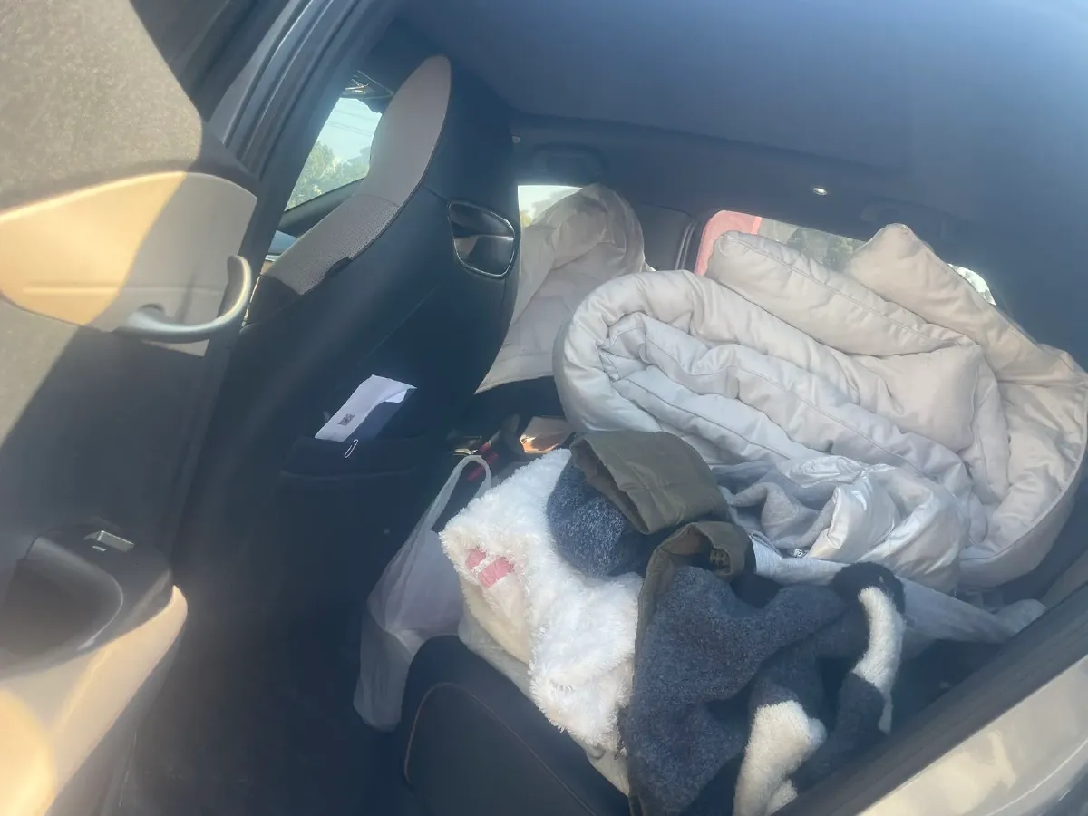 2023 BYD Dolphin BEV 44.928KWH,autocango,china used car exporter,china ev exporter,chinese used car exporter,chinese used ev exporter