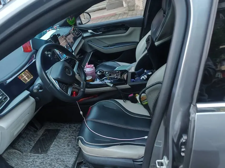 2021 DongFeng FuKang e Elysee BEV 30.7KWH,autocango,china used car exporter,china ev exporter,chinese used car exporter,chinese used ev exporter