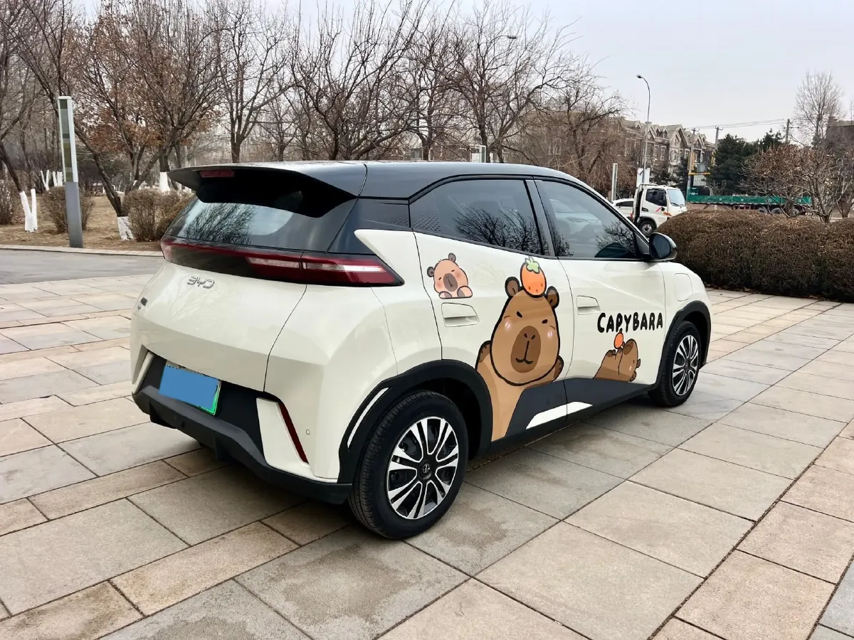 2025 BYD Seagull BEV 30.08KWH,autocango,china used car exporter,china ev exporter,chinese used car exporter,chinese used ev exporter