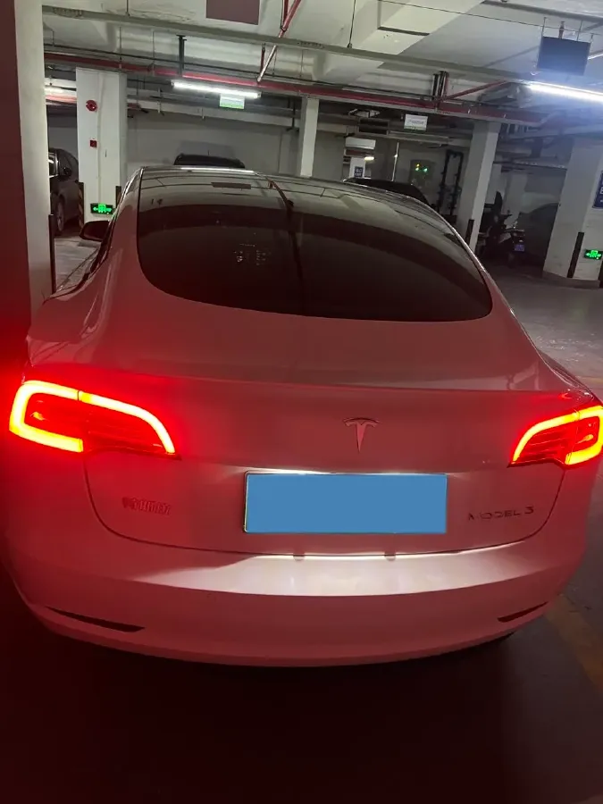 2021 Tesla Model 3 BEV 55KWH,autocango,china used car exporter,china ev exporter,chinese used car exporter,chinese used ev exporter