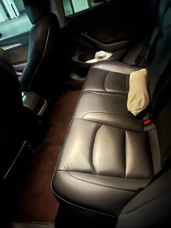 2021 Tesla Model 3 BEV 55KWH,autocango,china used car exporter,china ev exporter,chinese used car exporter,chinese used ev exporter