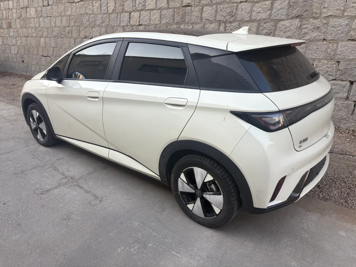 2023 BYD Dolphin BEV 44.928KWH,autocango,china used car exporter,china ev exporter,chinese used car exporter,chinese used ev exporter