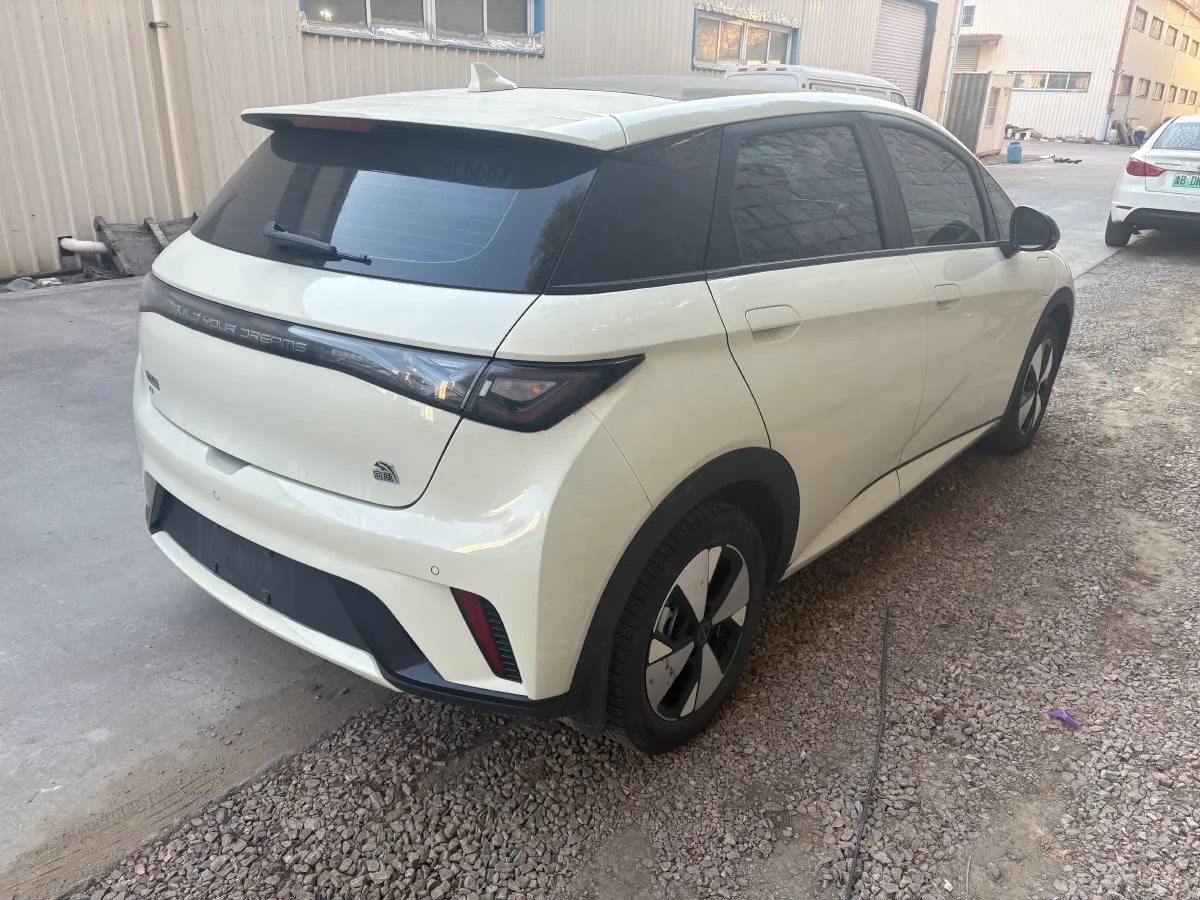 2023 BYD Dolphin BEV 44.928KWH,autocango,china used car exporter,china ev exporter,chinese used car exporter,chinese used ev exporter