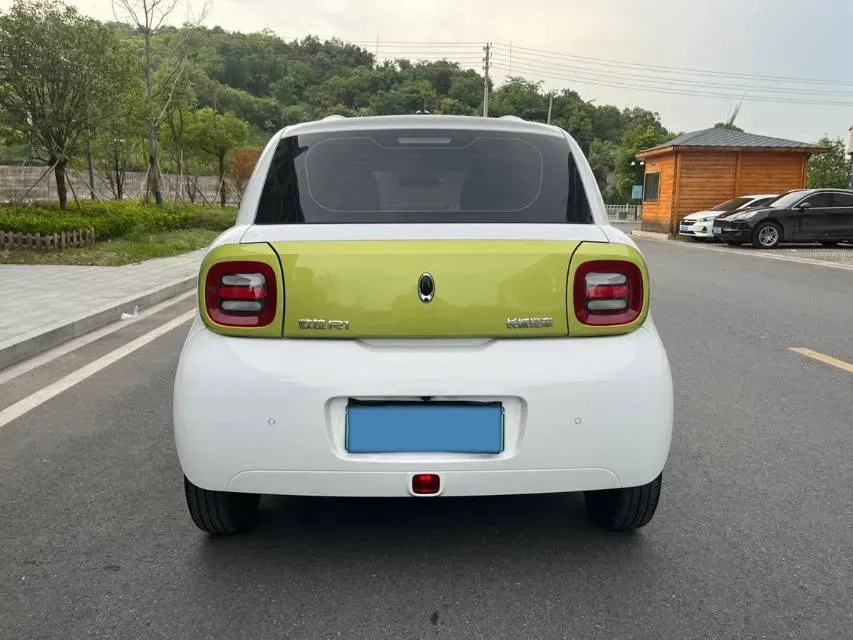 2019 Ora BlackCat BEV 28.5KWH,autocango,china used car exporter,china ev exporter,chinese used car exporter,chinese used ev exporter