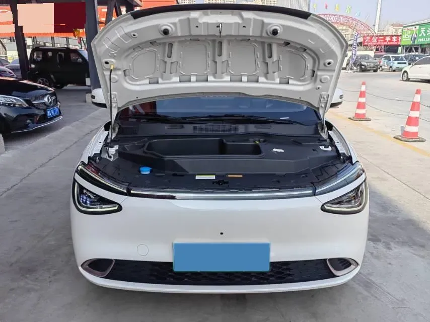 2024 DongFeng eπ 01 BEV 42.3KWH,autocango,china used car exporter,china ev exporter,chinese used car exporter,chinese used ev exporter