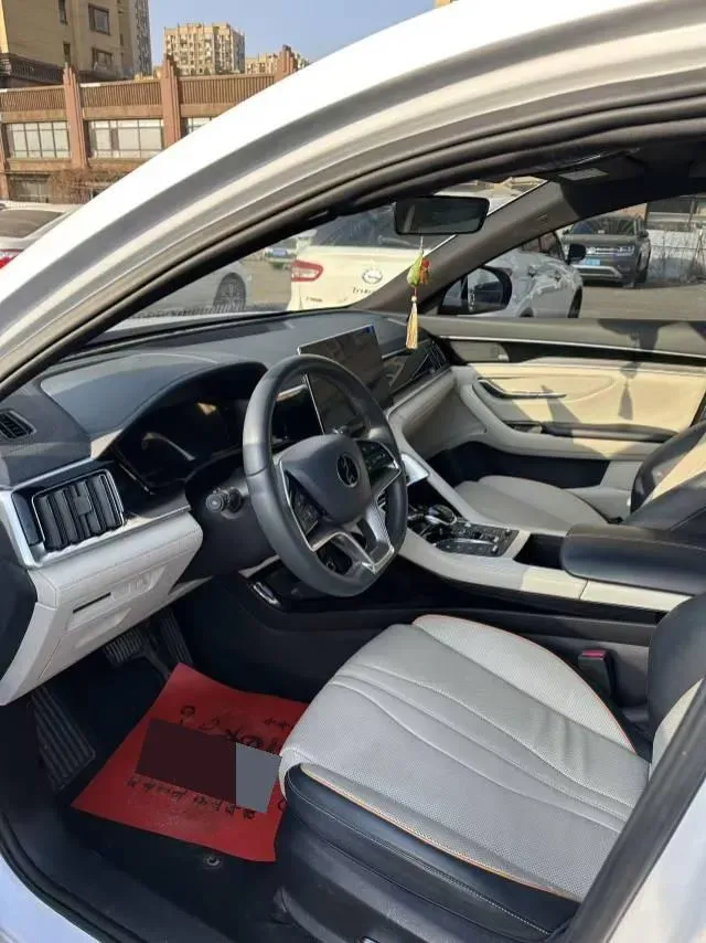 2021 SRM Sea Lion EV BEV 41.86KWH,autocango,china used car exporter,china ev exporter,chinese used car exporter,chinese used ev exporter