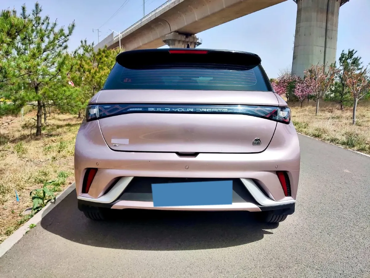 2021 BYD Yuan Pro BEV 50.1KWH,autocango,china used car exporter,china ev exporter,chinese used car exporter,chinese used ev exporter