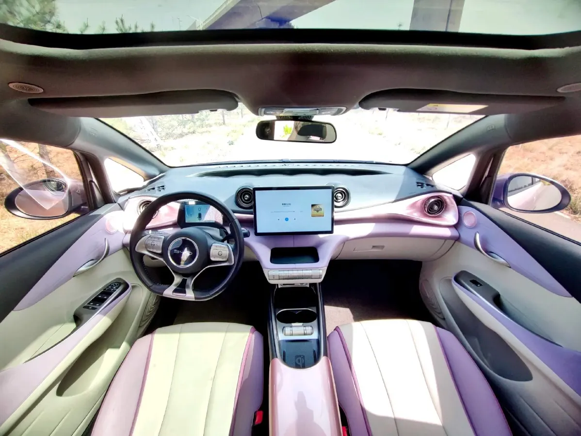 2021 BYD Yuan Pro BEV 50.1KWH,autocango,china used car exporter,china ev exporter,chinese used car exporter,chinese used ev exporter