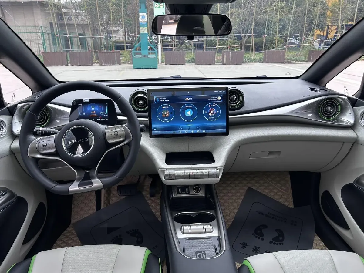 2021 BYD Yuan Pro BEV 50.1KWH,autocango,china used car exporter,china ev exporter,chinese used car exporter,chinese used ev exporter