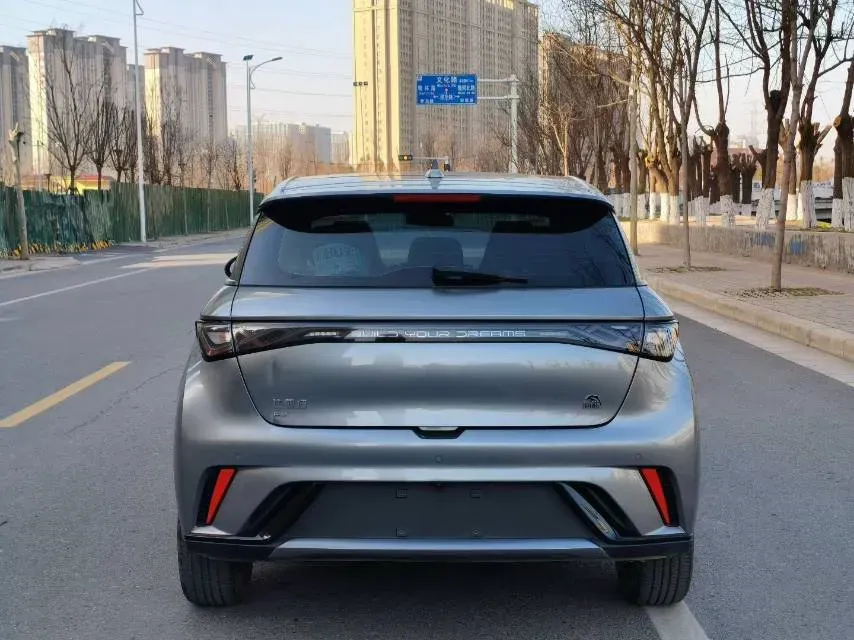 2023 BYD Dolphin BEV 44.928KWH,autocango,china used car exporter,china ev exporter,chinese used car exporter,chinese used ev exporter