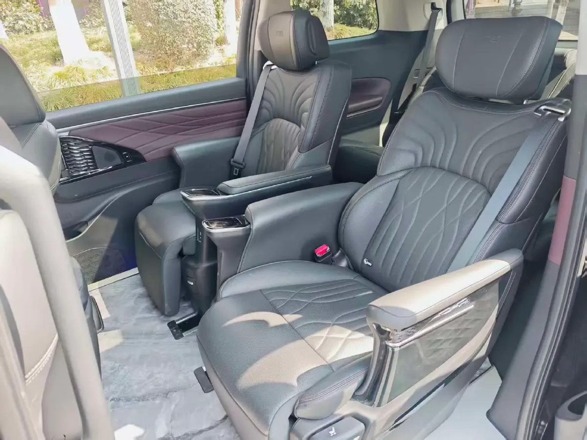 2024 GAC Trumpchi M8 2.0T 252HP L4 8AT,autocango,china used car exporter,china ev exporter,chinese used car exporter,chinese used ev exporter