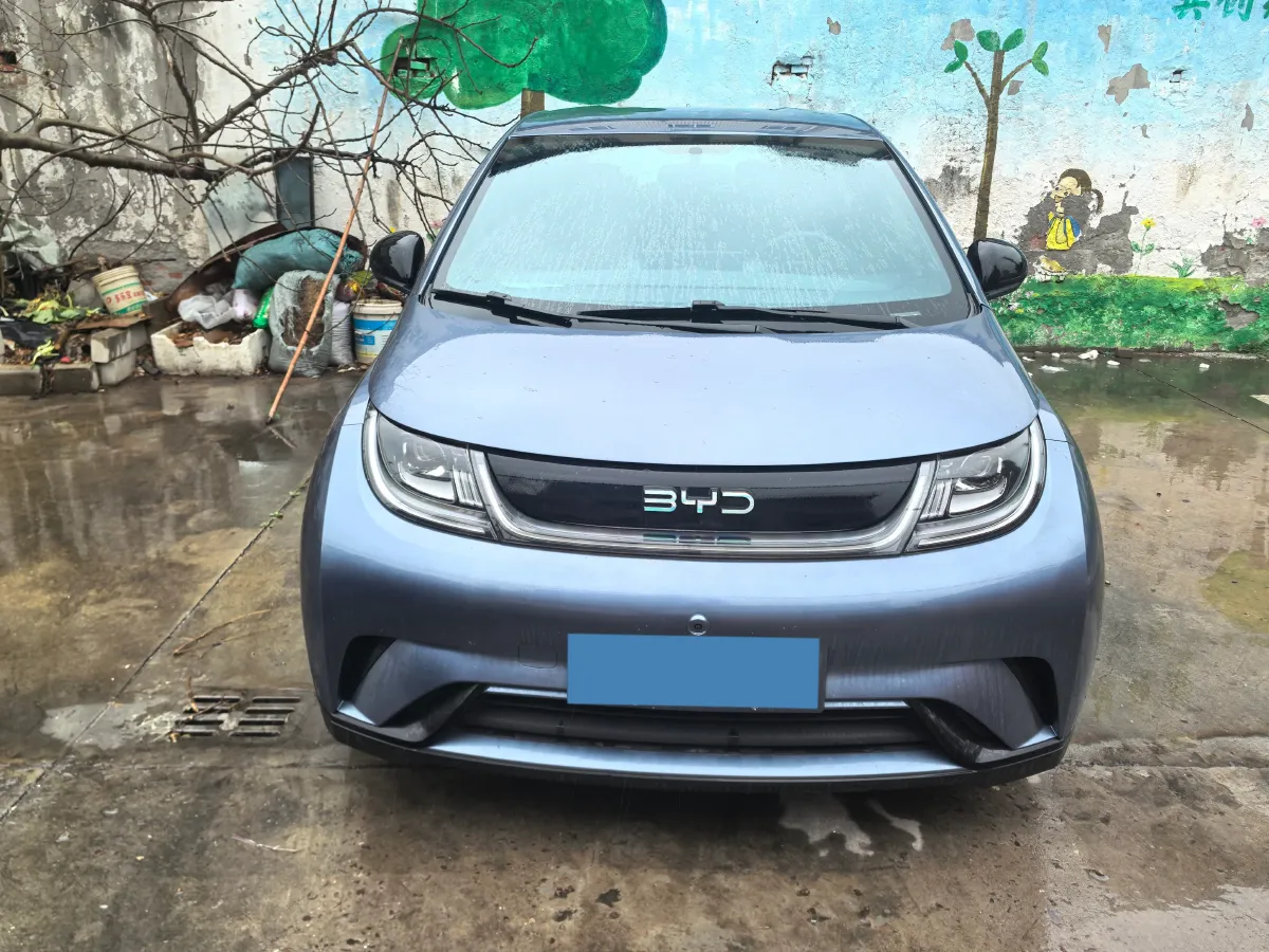 2024 BYD Dolphin BEV 44.928KWH,autocango,china used car exporter,china ev exporter,chinese used car exporter,chinese used ev exporter