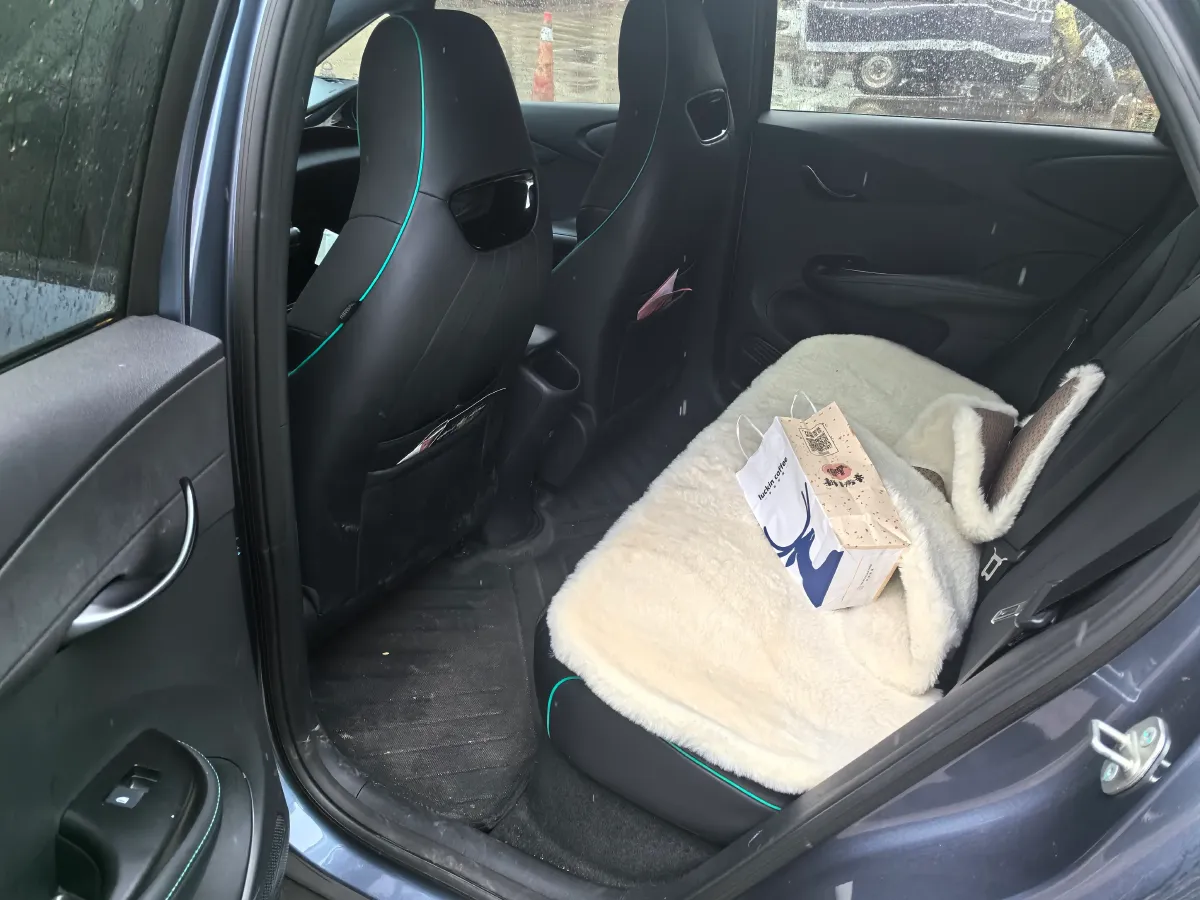 2024 BYD Dolphin BEV 44.928KWH,autocango,china used car exporter,china ev exporter,chinese used car exporter,chinese used ev exporter