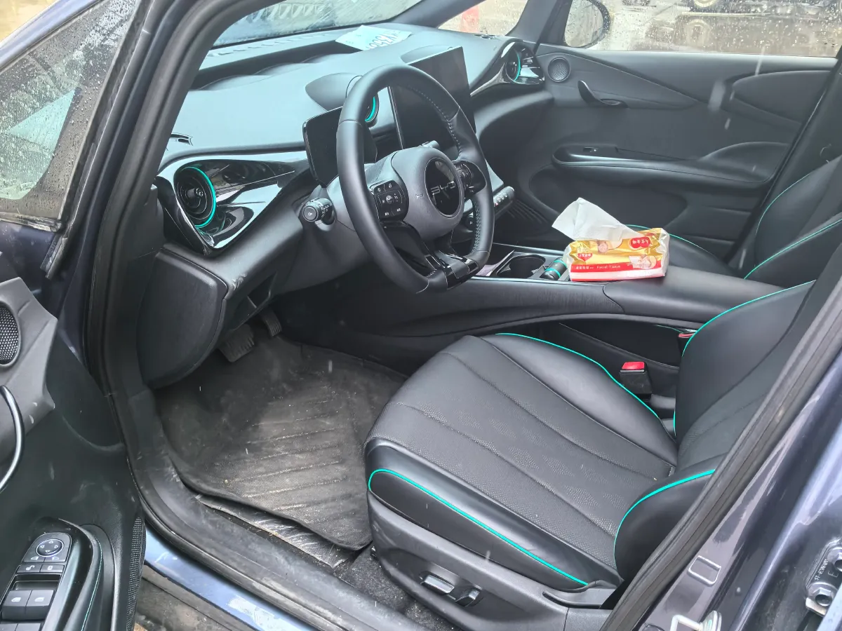 2024 BYD Dolphin BEV 44.928KWH,autocango,china used car exporter,china ev exporter,chinese used car exporter,chinese used ev exporter