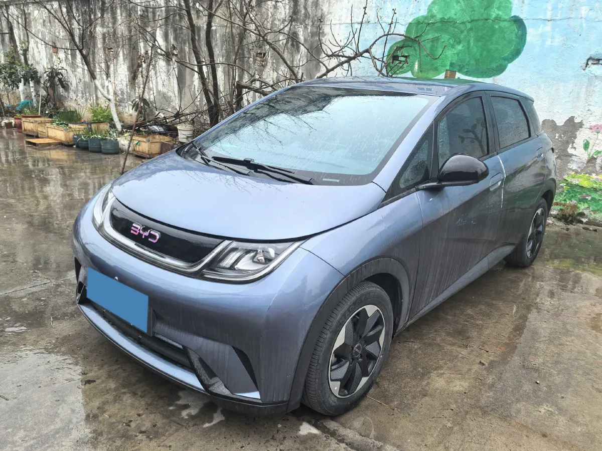 2024 BYD Dolphin BEV 44.928KWH,autocango,china used car exporter,china ev exporter,chinese used car exporter,chinese used ev exporter