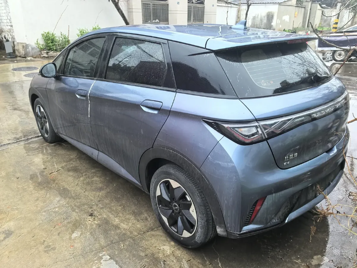 2024 BYD Dolphin BEV 44.928KWH,autocango,china used car exporter,china ev exporter,chinese used car exporter,chinese used ev exporter