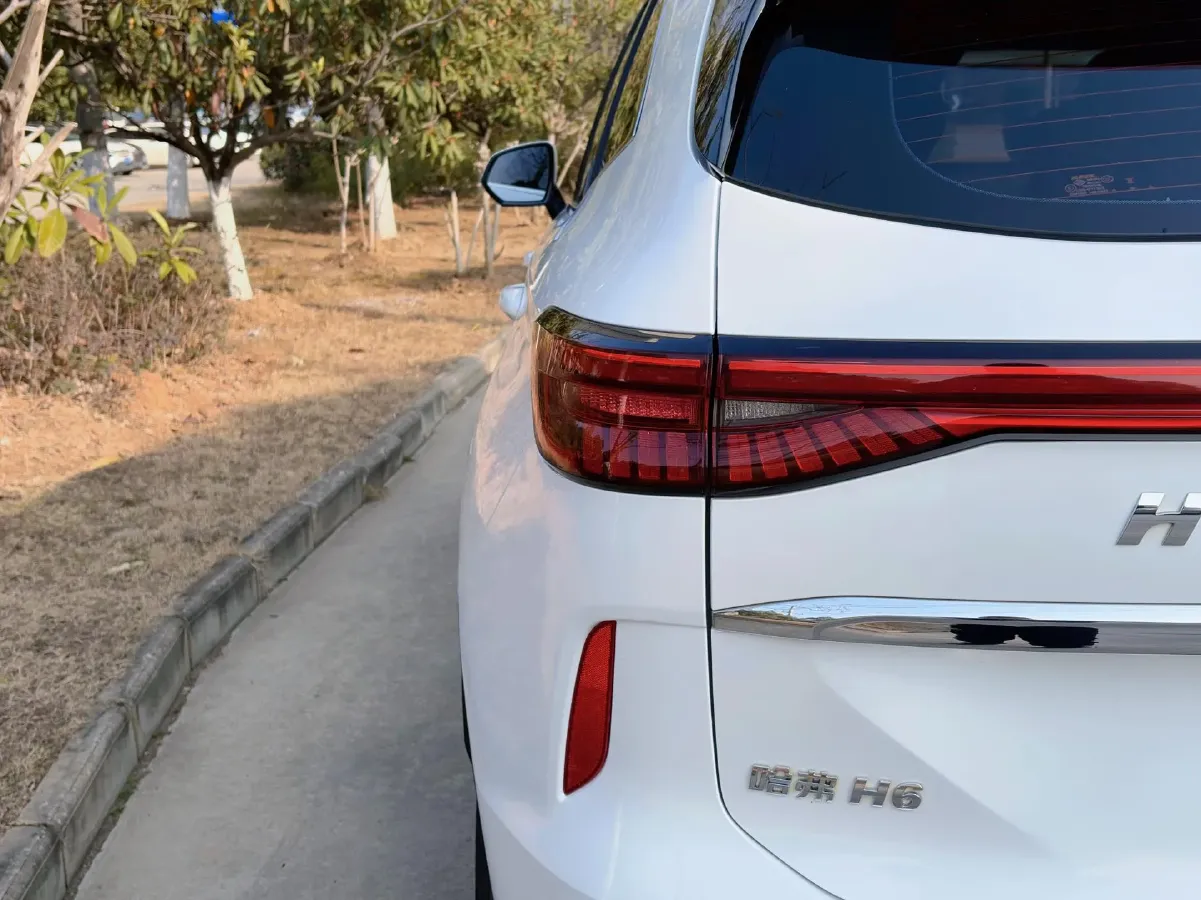 2024 Haval H6 2.0T 238HP L4 9DCT,autocango,china used car exporter,china ev exporter,chinese used car exporter,chinese used ev exporter