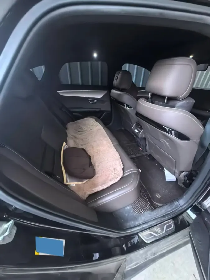 2020 Honda Breeze 2.0L 146HP L4 E-CVT Hybrid,autocango,china used car exporter,china ev exporter,chinese used car exporter,chinese used ev exporter