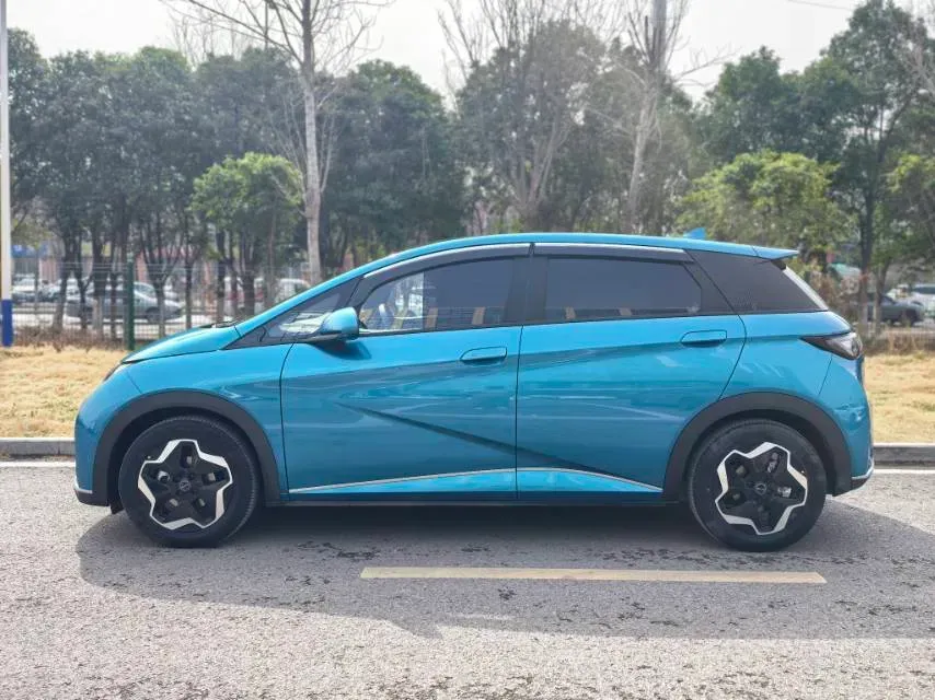 2021 BYD Yuan Pro BEV 50.1KWH,autocango,china used car exporter,china ev exporter,chinese used car exporter,chinese used ev exporter