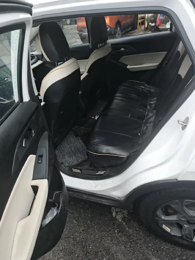 2023 Geometry E BEV 39.4KWH,autocango,china used car exporter,china ev exporter,chinese used car exporter,chinese used ev exporter