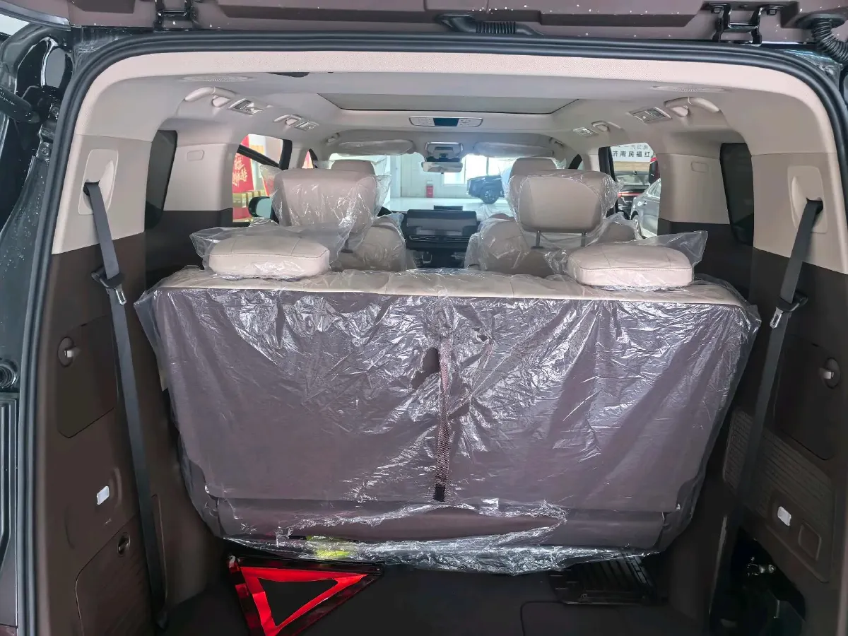 2024 HongQi HQ9 2.0T 252HP L4 8AT,autocango,china used car exporter,china ev exporter,chinese used car exporter,chinese used ev exporter