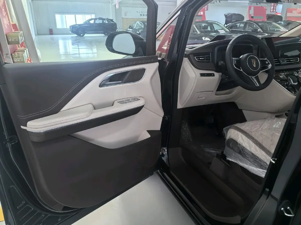 2024 HongQi HQ9 2.0T 252HP L4 8AT,autocango,china used car exporter,china ev exporter,chinese used car exporter,chinese used ev exporter