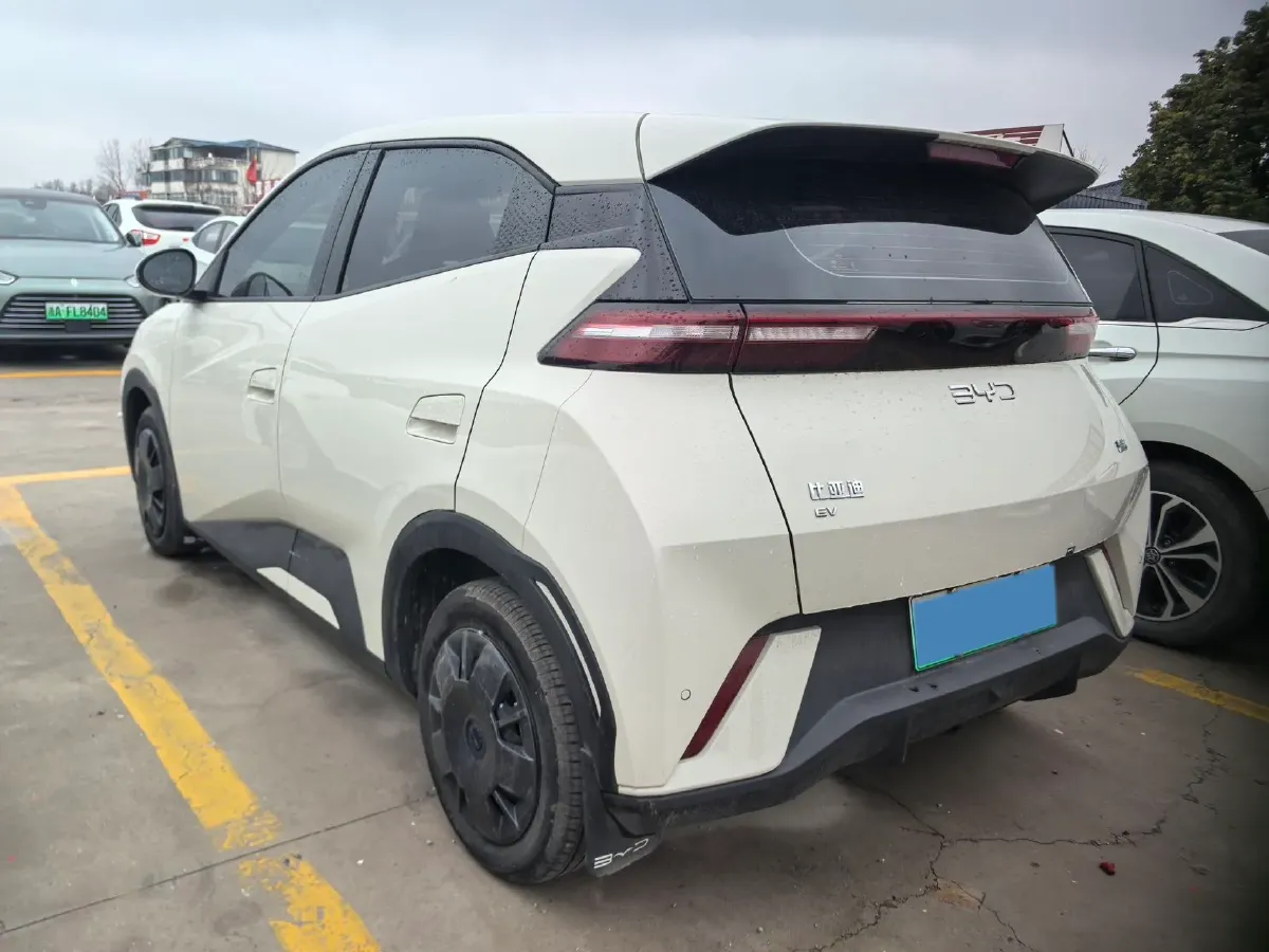 2025 BYD Seagull BEV 30.08KWH,autocango,china used car exporter,china ev exporter,chinese used car exporter,chinese used ev exporter
