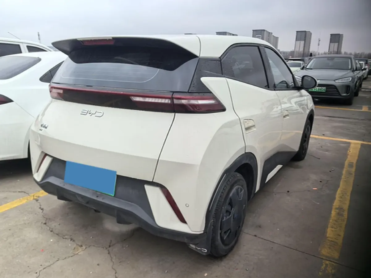 2025 BYD Seagull BEV 30.08KWH,autocango,china used car exporter,china ev exporter,chinese used car exporter,chinese used ev exporter