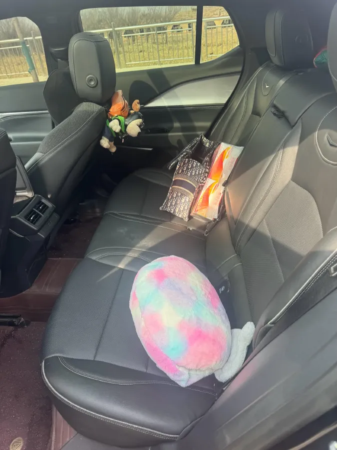 2023 Cadillac GT4 1.5T 211HP L4 9AT,autocango,china used car exporter,china ev exporter,chinese used car exporter,chinese used ev exporter