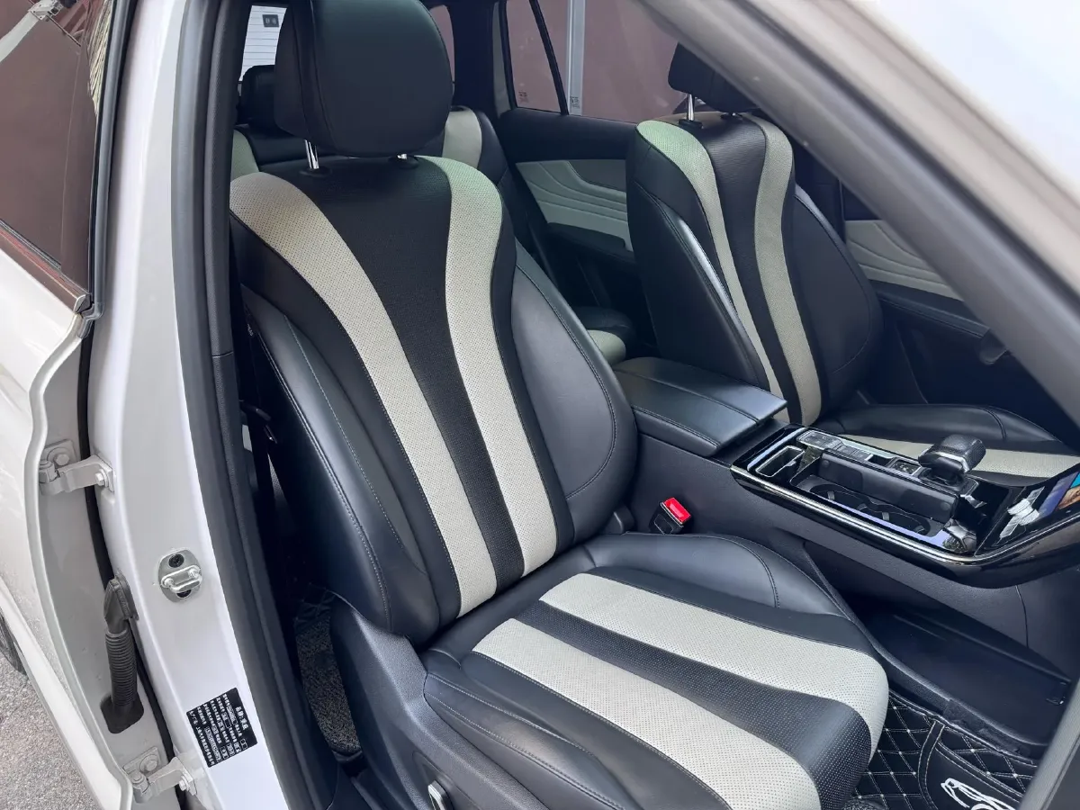 2019 Roewe RX5 MAX 2.0T 231HP L4 6DCT,autocango,china used car exporter,china ev exporter,chinese used car exporter,chinese used ev exporter