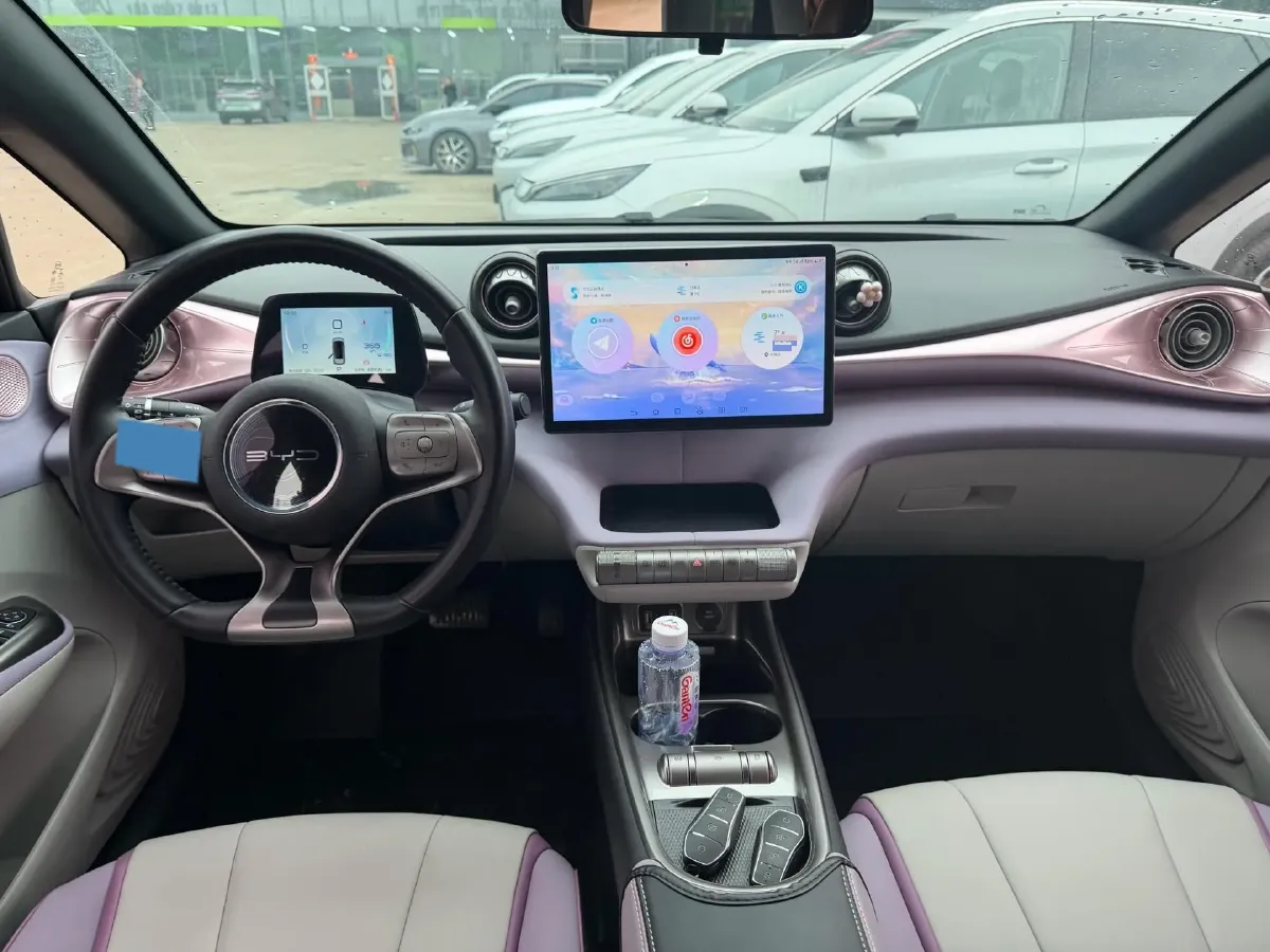 2021 BYD Dolphin BEV 44.9KWH,autocango,china used car exporter,china ev exporter,chinese used car exporter,chinese used ev exporter