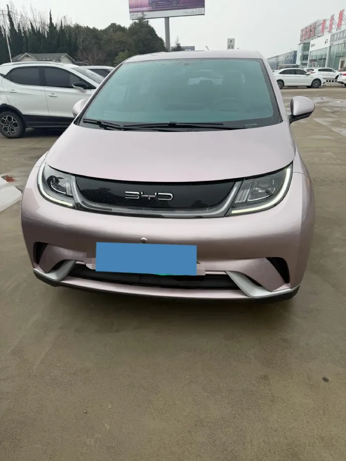 2021 BYD Dolphin BEV 44.9KWH,autocango,china used car exporter,china ev exporter,chinese used car exporter,chinese used ev exporter