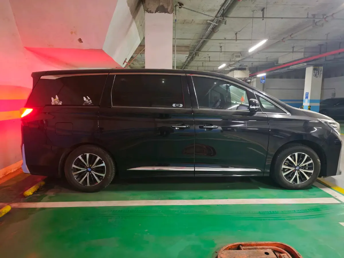 2021 GAC Trumpchi M8 2.0T 252HP L4 8AT,autocango,china used car exporter,china ev exporter,chinese used car exporter,chinese used ev exporter