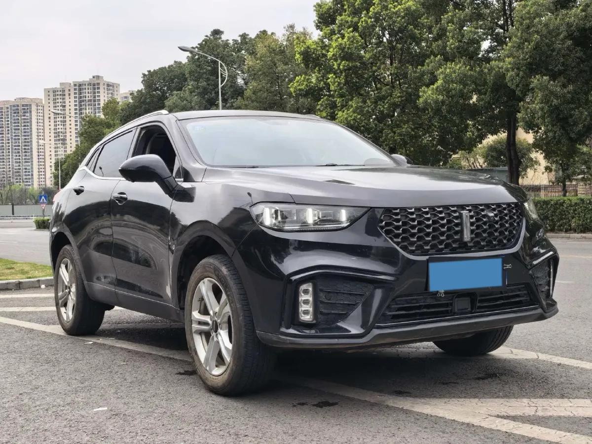 2020 WEY VV5 1.5T 171HP L4 7DCT,autocango,china used car exporter,china ev exporter,chinese used car exporter,chinese used ev exporter