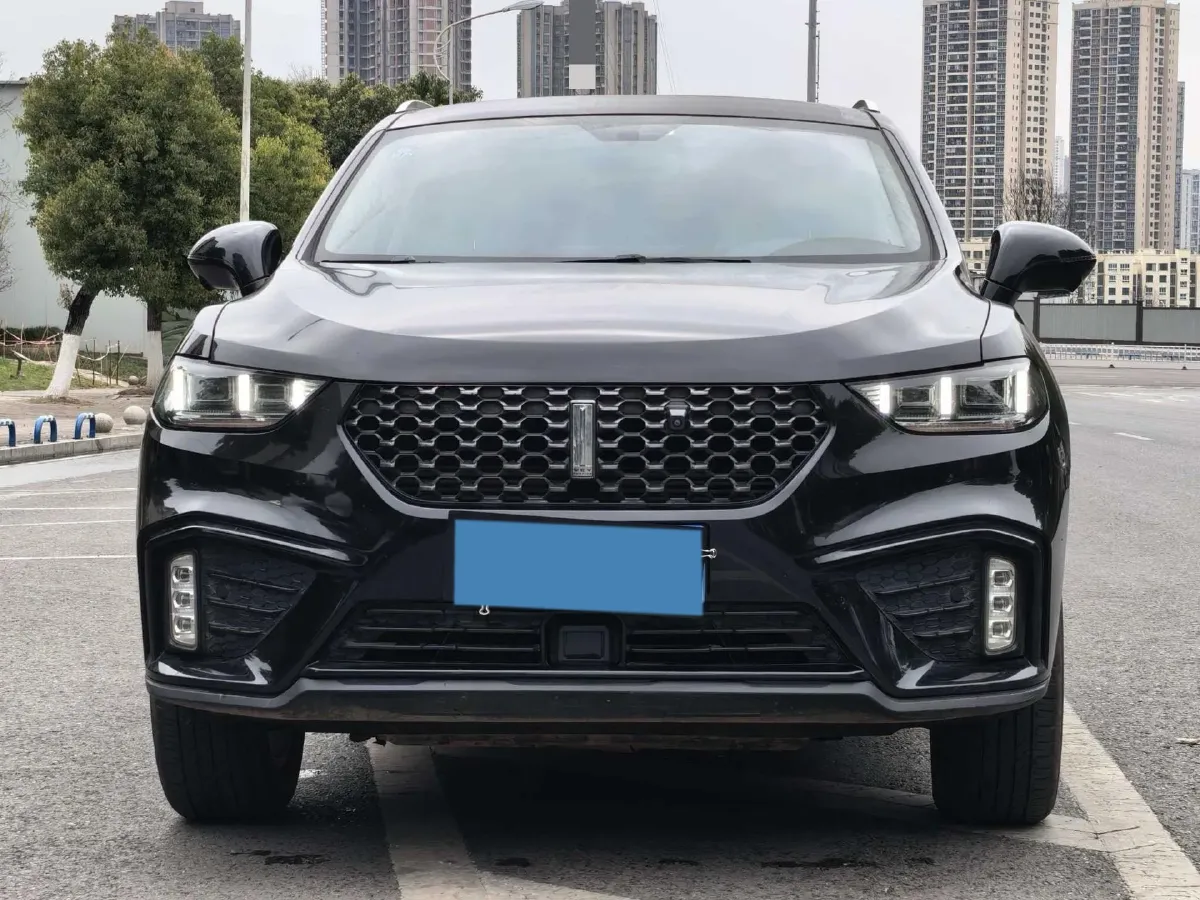 2020 WEY VV5 1.5T 171HP L4 7DCT,autocango,china used car exporter,china ev exporter,chinese used car exporter,chinese used ev exporter