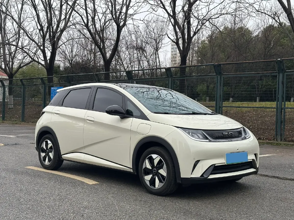 2024 BYD Dolphin BEV 44.928KWH,autocango,china used car exporter,china ev exporter,chinese used car exporter,chinese used ev exporter