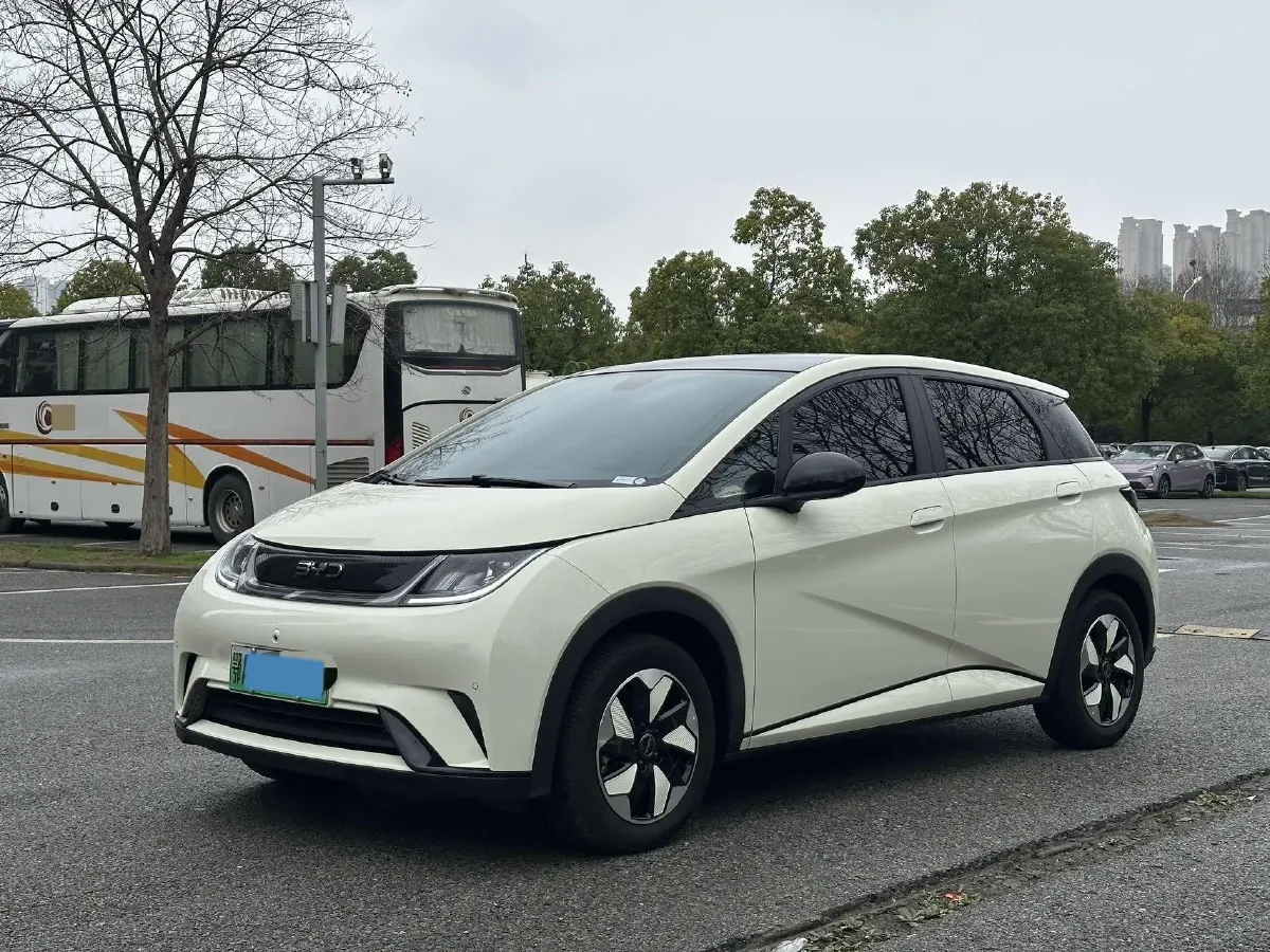 2024 BYD Dolphin BEV 44.928KWH,autocango,china used car exporter,china ev exporter,chinese used car exporter,chinese used ev exporter