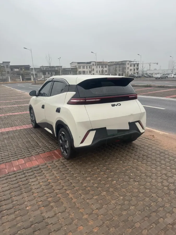 2024 BYD Seagull BEV 30.08KWH,autocango,china used car exporter,china ev exporter,chinese used car exporter,chinese used ev exporter