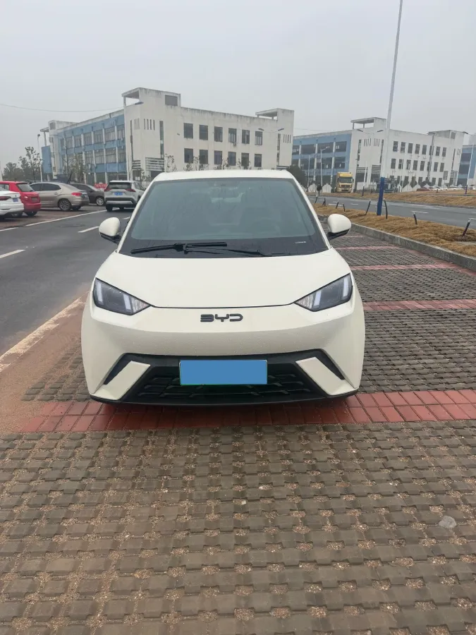 2024 BYD Seagull BEV 30.08KWH,autocango,china used car exporter,china ev exporter,chinese used car exporter,chinese used ev exporter