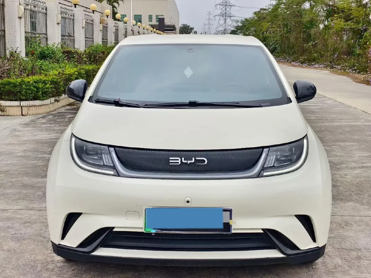 2024 BYD Dolphin BEV 44.928KWH,autocango,china used car exporter,china ev exporter,chinese used car exporter,chinese used ev exporter